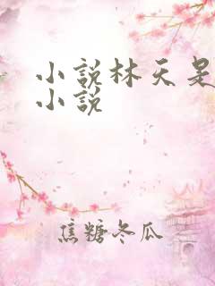 小说林天是什么小说