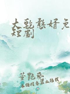 大乾憨婿免费看短剧