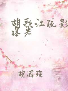 胡歌江疏影恋情曝光