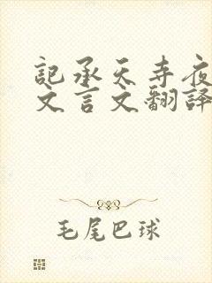 记承天寺夜游的文言文翻译