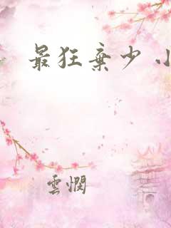 最狂弃少 小说
