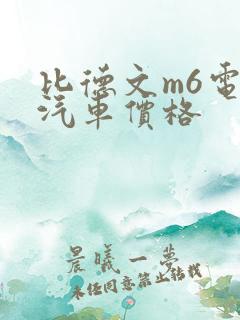 比德文m6电动汽车价格