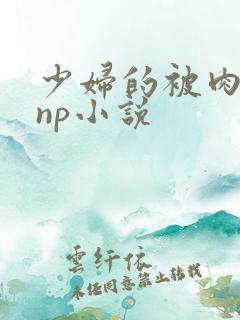 少妇的被肉日常np小说