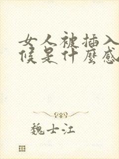 女人被插入的时候是什么感觉