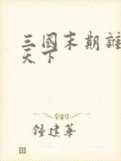 三国末期谁统一天下