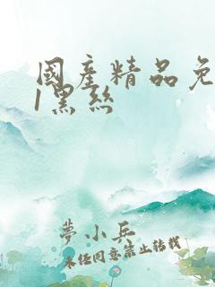 国产精品免费91黑丝
