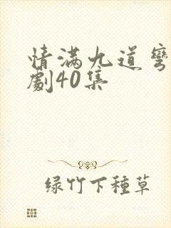 情满九道弯电视剧40集