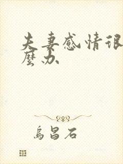 夫妻感情很淡怎么办