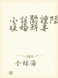 小说阅读陆少的暖婚新妻