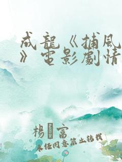 成龙《捕风追影》电影剧情介绍