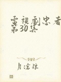 电视剧忠者无敌第30集