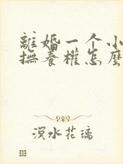离婚一个小孩子抚养权怎么判定