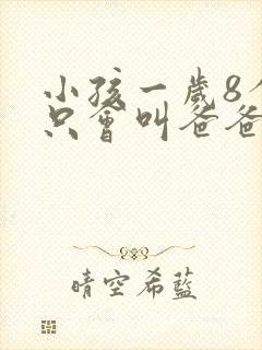 小孩一岁8个月只会叫爸爸