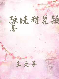陈晓赵丽颖新消息