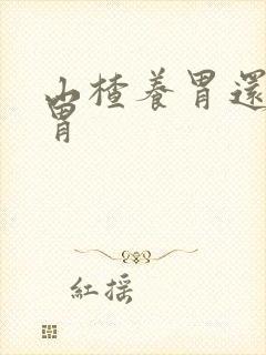 山楂养胃还是伤胃
