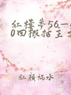 红楼梦56—60回概括主要内容