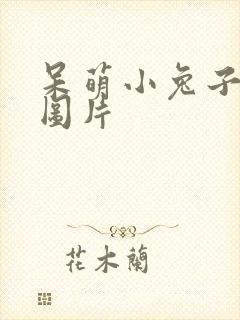 呆萌小兔子卡通图片
