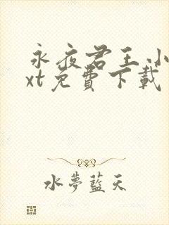 永夜君王小说txt免费下载