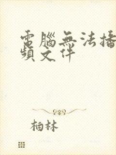 电脑无法播放音频文件