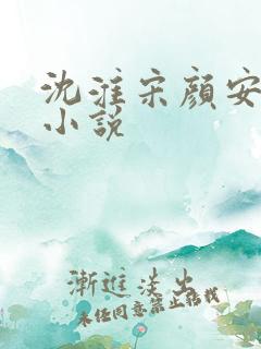 沈淮宋颜安欢的小说