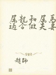 属龙和属马女的适合做夫妻吗