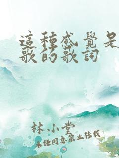 这种感觉是哪首歌的歌词