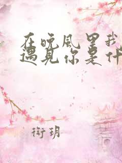 在晚风里我终于遇见你是什么歌