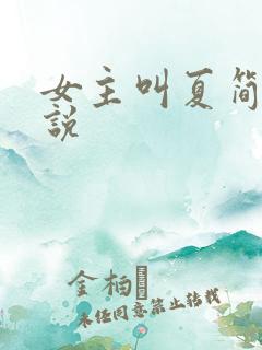 女主叫夏简的小说