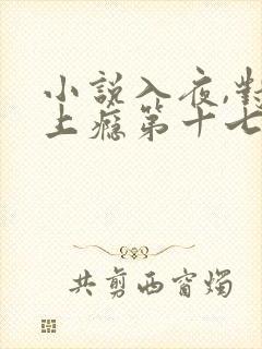 小说入夜,对她上瘾第十七章