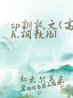 sp训诫文(高h,调教)bl