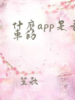什么app是看车的