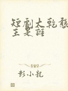 短剧大乾憨婿男主是谁