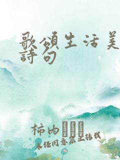 歌颂生活美好的诗句