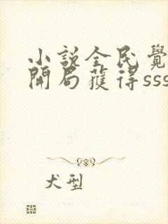 小说全民觉醒:开局获得sss级天赋