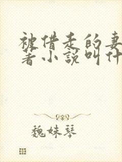 被借走的妻子原著小说叫什么名字