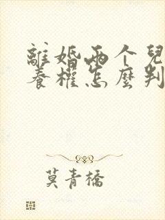 离婚两个儿子抚养权怎么判定