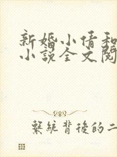 新婚小倩和老许小说全文阅读