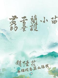 君子兰小苗夏天的养护