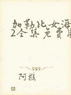 加勒比女海盗12全集免费版高清