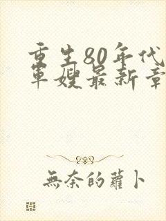 重生80年代当军嫂最新章节