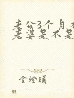 老公3个月不碰老婆是不是外面有人了