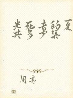 光死去的夏天一共多少集