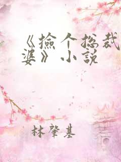 《捡个总裁做老婆》小说