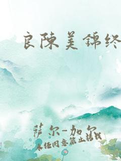 良陈美锦终章