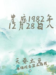 农历1982年12月28日八字算命