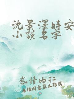 沈景泽时安乔月小说名字