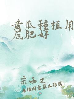 黄瓜种植用什么底肥好