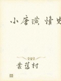 小唐璜 情史