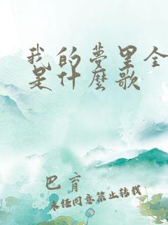 我的梦里全是你是什么歌