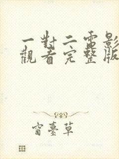 一对二电影在线观看完整版